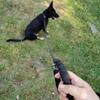 Hunde – Hundehalsbänder & Leinen