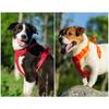TRUELOVE Pet Harness Nylon Reflective Comfortable and Breathable Explosion-proof Small Medium Large Outdoor Camping HP5652