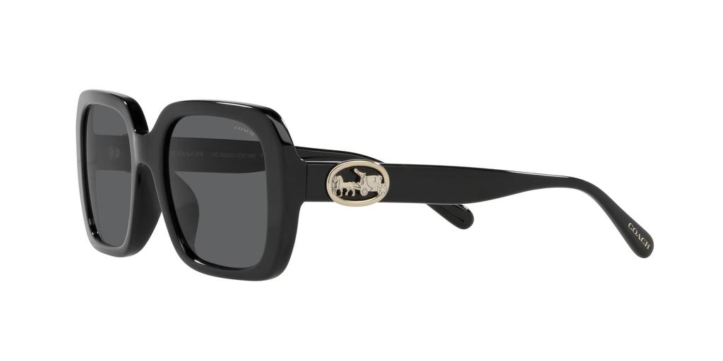 Coach HC8329U BLACK 53 Women's Sunglasses,