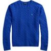 Polo Einfarbig Logo Gestickt Rundhals Pullover Pullover Herren Pullover Lila 710876762-024
