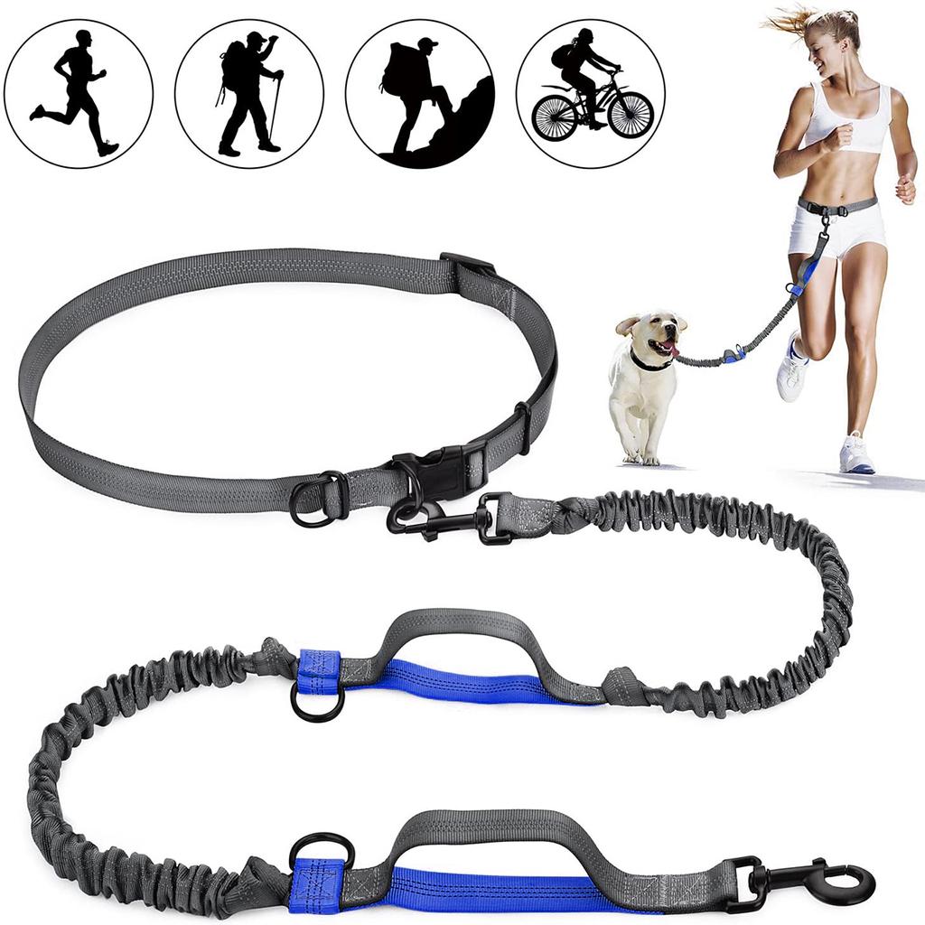 Professional 2022 New Reflective Leash Traction Rope Pet Dog Running Belt Elastic Hands Freely Jogging Pull Dog Leash Metal D-ring Leashes