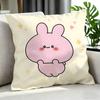 Cartoon Asamimichaan Asleep Cushion Cover Cushion Cover Set 4Pcs 50X50 45X45 40X40 Pillowcase Decorative Sofa Home Decor