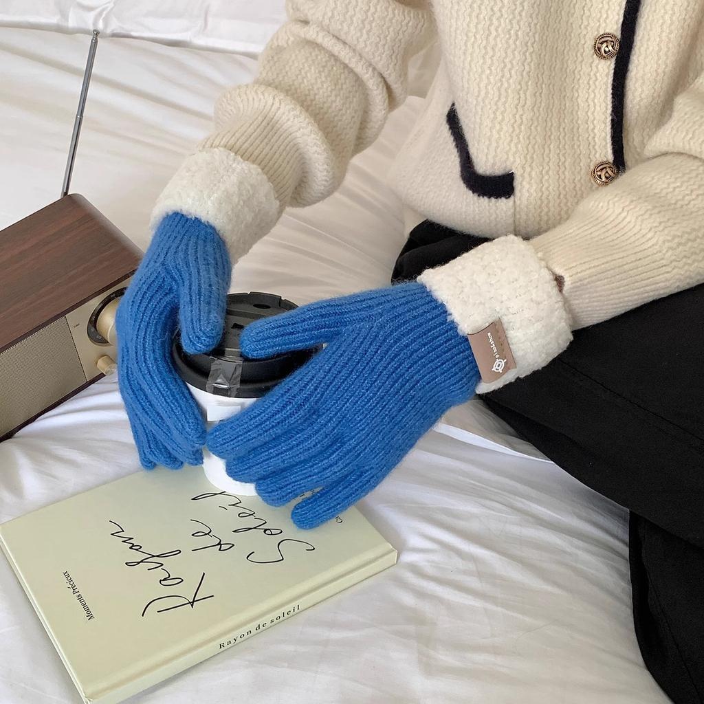 Full finger Touch Screen Thickened Warm Woolen Knitted Gloves for Autumn and Winter New Style Finger Separated Cycling Hand Protection for Women