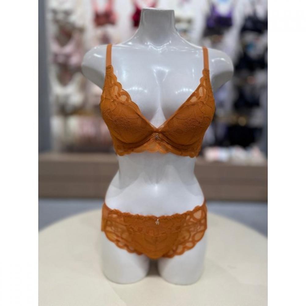 Triumph Кружевной комплект нижнего белья с кружевом-лентой Dreaming Ribbon 2.0 Горчичный Tewbr711tewpt711br 80C/100