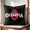 Brand MMr OOlympia Cushion Cover Natural Linen Organic Fabric DoubleSided Printing Couch Pillow Covers Home Decor