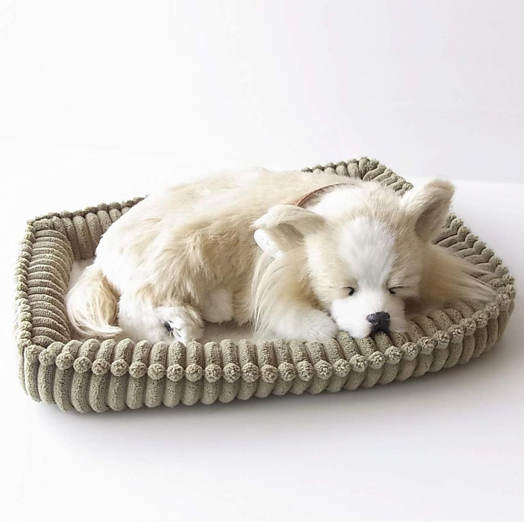 Ninian and Kino Perfect Pet (Small) Chihuahua Long (Cream) Plush Dog, Realistic, Lifelike, Moving Animal, Soothing, Gift, Celebration, Cute, Stuffed