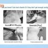 Cross-Border Suction Cup Cat Hammock: Breathable Hanging Pet Bed