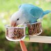 With Clip Bird Cage Feeder Transparent Pet Bird Feeder Parrot Food Bowl  Small Pet Bird