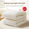 Thickened Xinjiang Long-Staple Cotton Mattress Pad Core