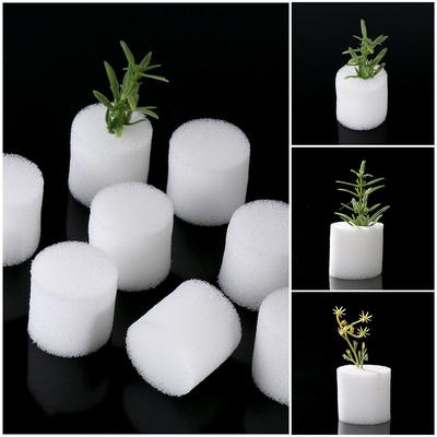 10/50pcs Hot Sell Planting Aquarium Nursery Sponge Soilless Hydroponic Seed Trays Flower Pots