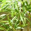 Artificial Plant Bamboo Artificial Tree Height 120 Cm With Pot For Home Indoor Decor