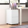 2-Drawer Vertical Filing Cabinet with Lock and 5 Wheels, Steel Mobile File Cabinet, for A4, Legal and Letter Size, Pre-Assembled Body, White