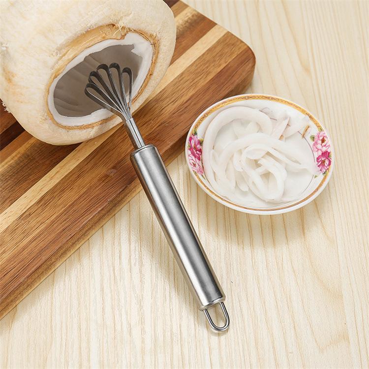 Stainless Steel Coconut Meat Planer Multifunctional Coconut Planer Knife Fish Scale Planer Fruit Meat Digger Meat Remover