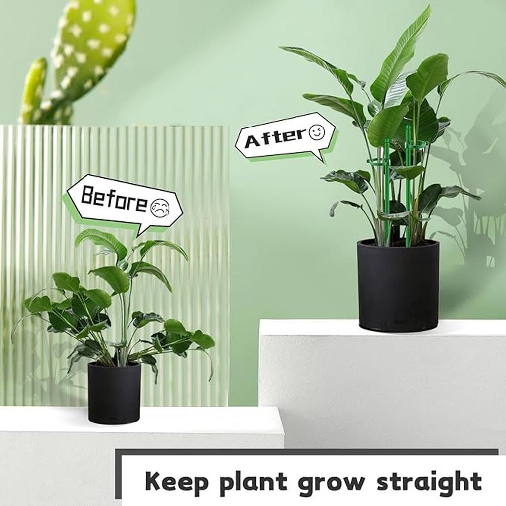 Plant Support Pole, Hippeastrum, Phalaenopsis Flower Climbing Fixed Frame, -toppling Bracket, Support Pole Fixing Tool