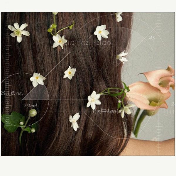 LABO-H Tratament de îngrijire a căderii părului (2 tipuri) 200ml