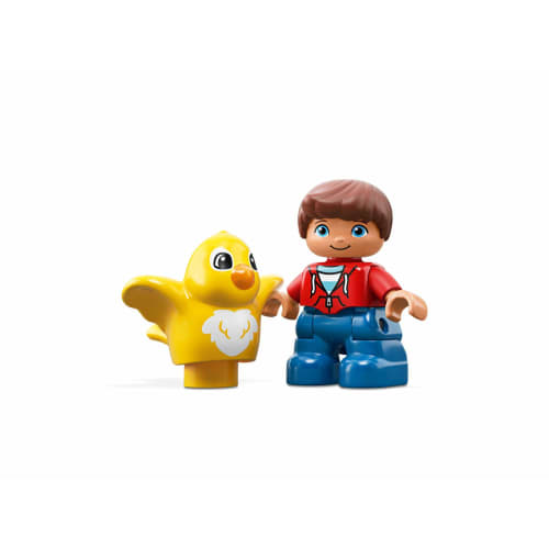 LEGO Block Toy Duplo's Various Idea Box 10887 Vzdělávací hračka Block Toy Boys
