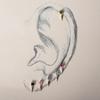 Boucles D'oreilles Skelk Argent 925
