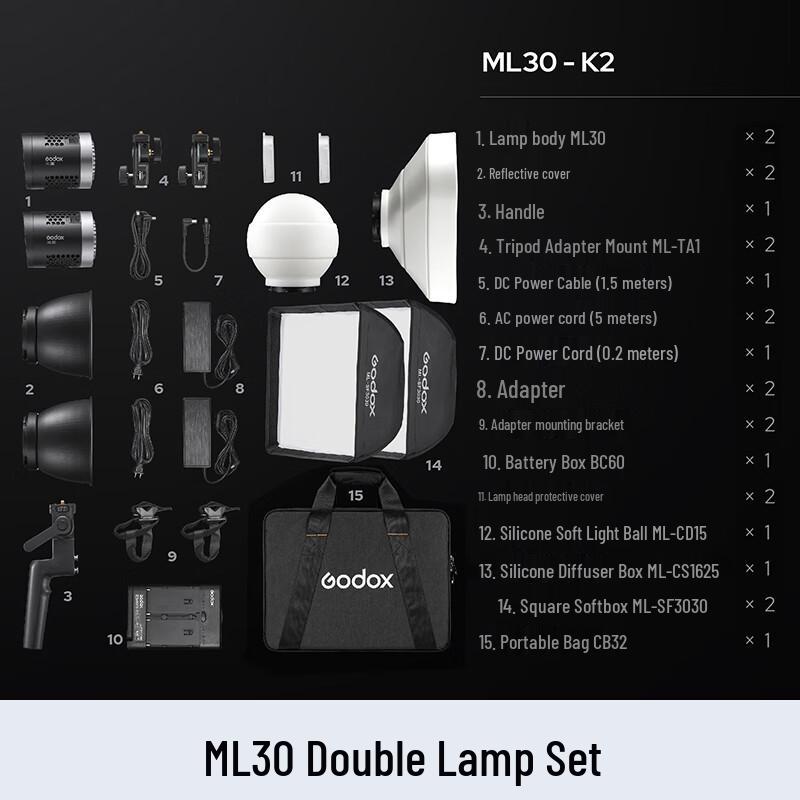 Godox ML30 LED Video Light Kit