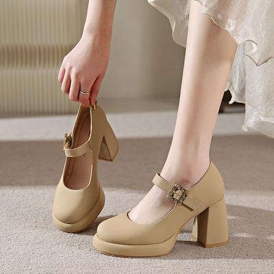 Retro Versatile High Heels Women's 2025 Spring New Fashion Mary Jane French Word with Thick Heel Platform Single Shoes