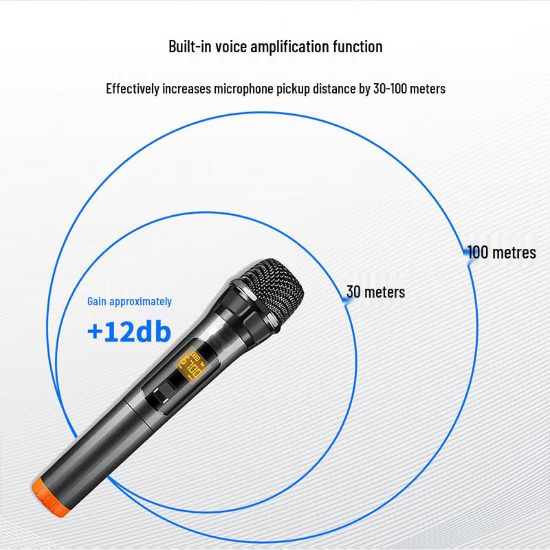 Hong Shi Dao Professional Digital Feedback Suppressor & Audio Processor (CN version)