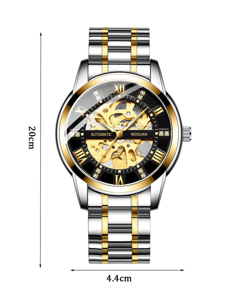 TeamSky Mechanical Automatic Mechanical Roman Stainless Large Day Gift Silver Band Watch, Men's Watch, Steel, Waterproof, Hand-wound Watch, Numerals,