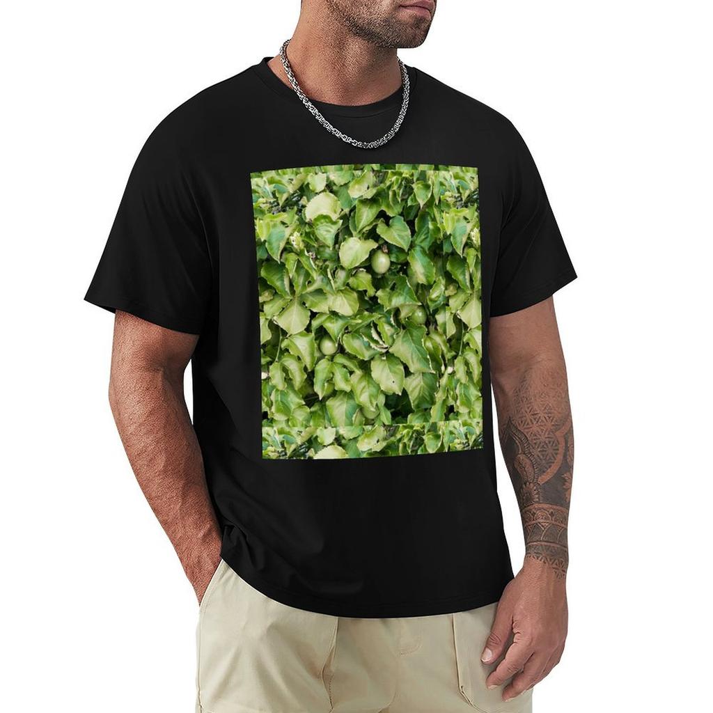 Passionfruit Plant with Fruit TShirt Large Size Soft Cotton TShirt