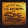 CD WATERBOYS  Secret Life of the Waterboys 8185  724383120123 Ensign 1994 UK Rock Used