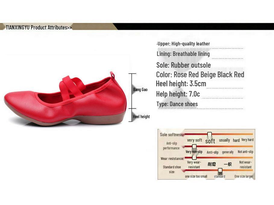 2023 Cross-Border Soft Sole Square Dance Ballet Practice Shoes, Flat Heel, Adult