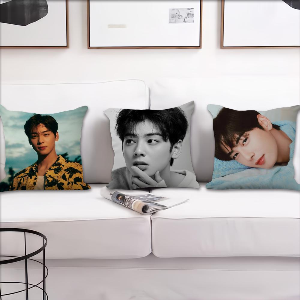 Korea Singer C-Cha Eun Woo Cushion Cover Sofa Living Room Bedroom Headboard Backrest Cushion Square Cushion Nap Time Pillow Case