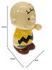 Marimocraft Peanuts 3D Coin Bank Charlie Brown