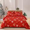 2025 New Christmas Theme Duvet Cover Set Luxury Soft Bedding Set with pillowcase skin-friendly machine washable Room Decor Gift