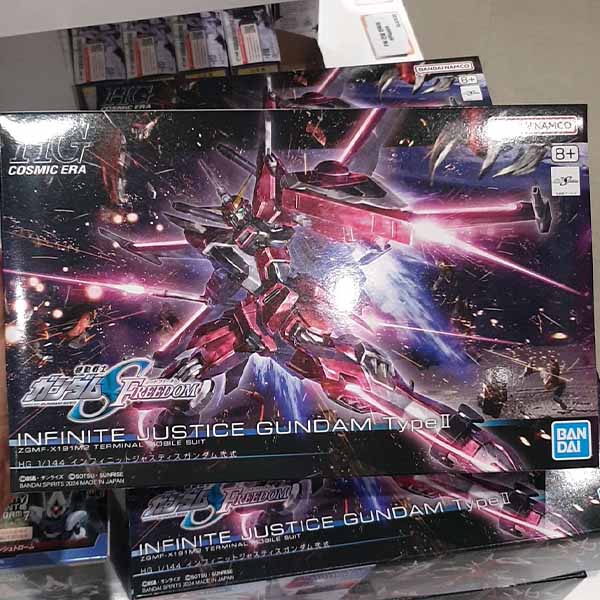 HG Infinite Justice Gundam Type II One thing