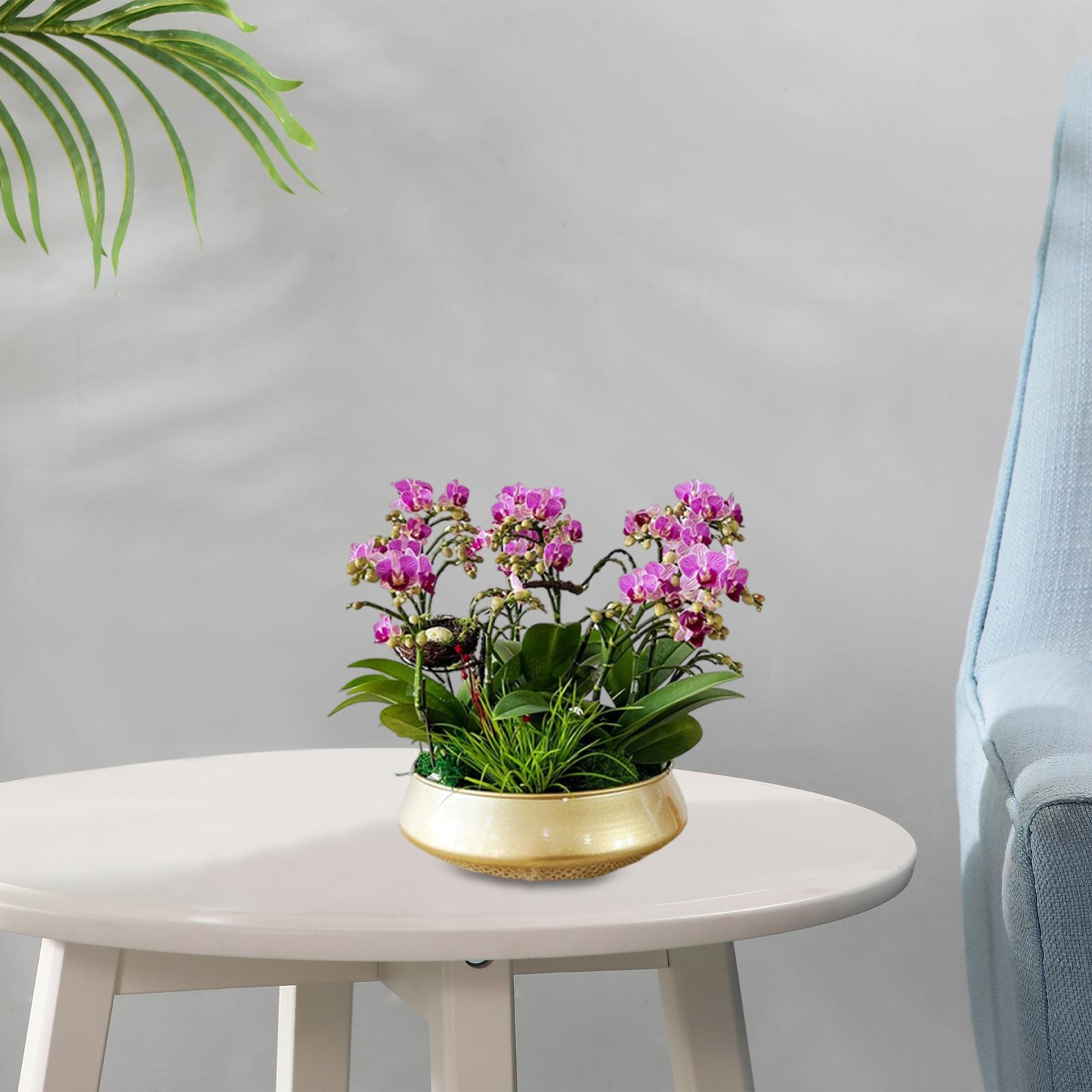 

Pot, Ideal As A Table Decoration for Houseplants, Living Room, Balcony Or Home Accessory. 29x10cm