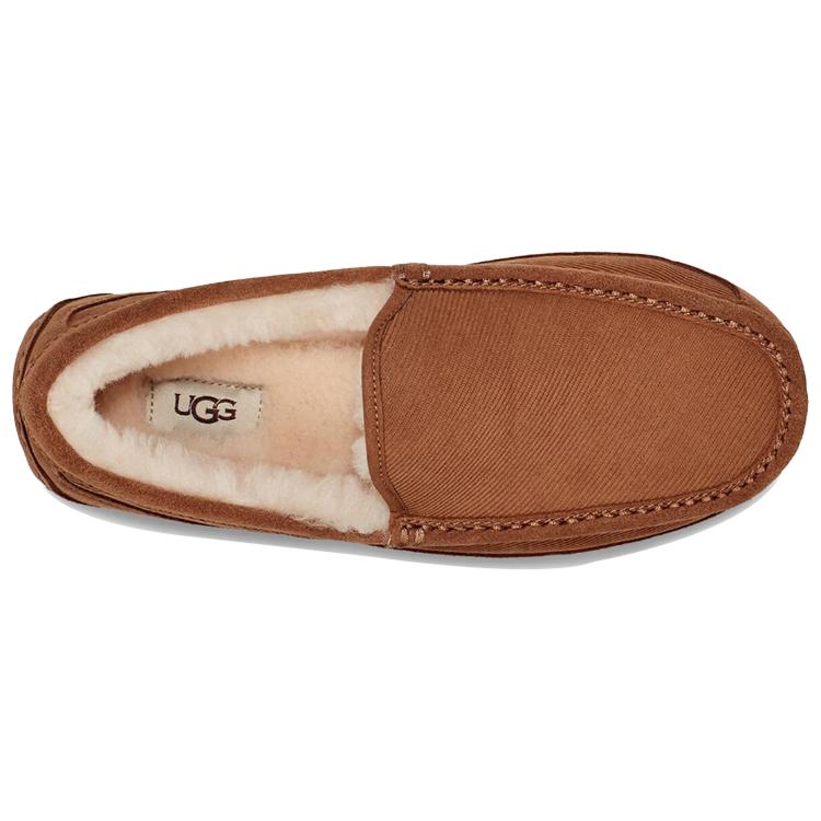 UGG Ascot Comfortable Low top Casual Shoes Men's 1112437-CHE