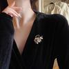 Exquisite Cat Eye Swan Brooch, High-end Feminine Corsage, Fashion Suit Personalized Pin Neck Clothing Accessories