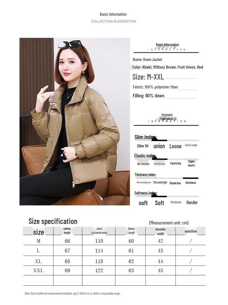 Women's 2024 Winter Korean Style Stand-Up Collar Plus Size Warm Down Jacket for Middle-Aged and Elderly
