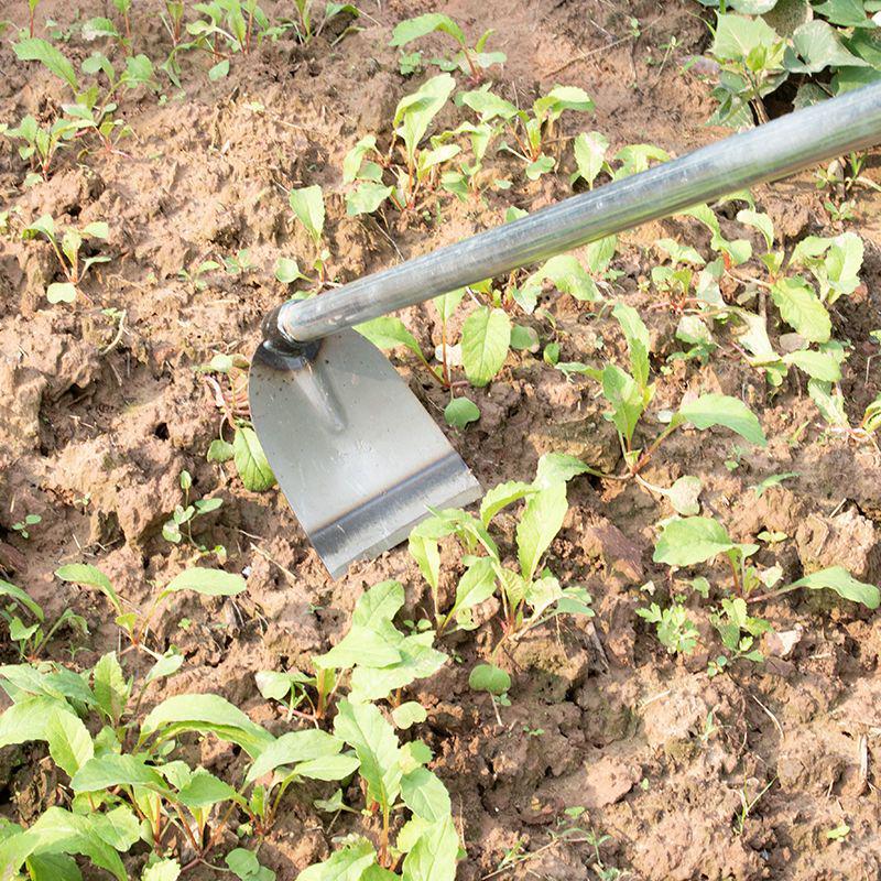 Long-Handled Steel Gardening Hoe for Weeding, Digging, and Turning Soil