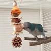 Fun Parrot Toy, Black Phoenix, Peony Bird, Destruction, Boredom, Gnawing String, Chewing Nut, Pinecone, Birdcage, Decorative Pendant