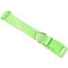 Durable Green Pet Collar with Adjustable Length