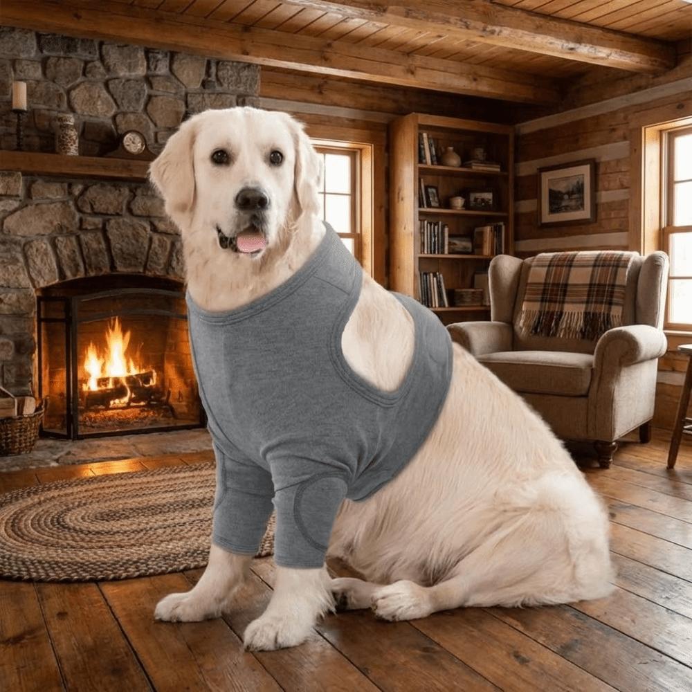 Atmungsaktiver Hundebeinschutz Langarm Professionelle Hundeledenbogenbandage Polyester Hohe Elastizität Hundekniepolster Postoperative Pflege