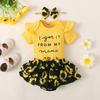 Newborn Fairy Style Summer Outfit Baby Clothes Romper Shorts Set Floral Summer Clothing Cute Little Princess