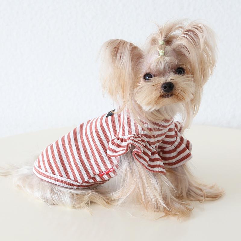 

Petstyle 2024 Осень/Зима Рубашка с высоким воротником в рубчик с лацканами и рукавами-крылышками с кошачьим принтом Medium