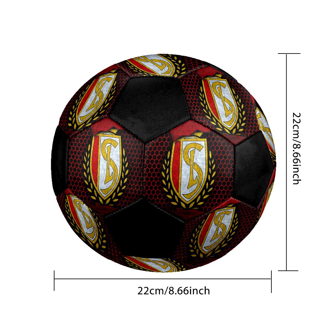SIZE 5 Standard Liège Soccer Ball Colorful All Ages Machine Stitched PVC Competition Ready Durable High-Bounce