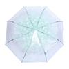 1PC Transparent Folding Umbrella Fashionable Princess Umbrella Cherry Blossom # Light Green