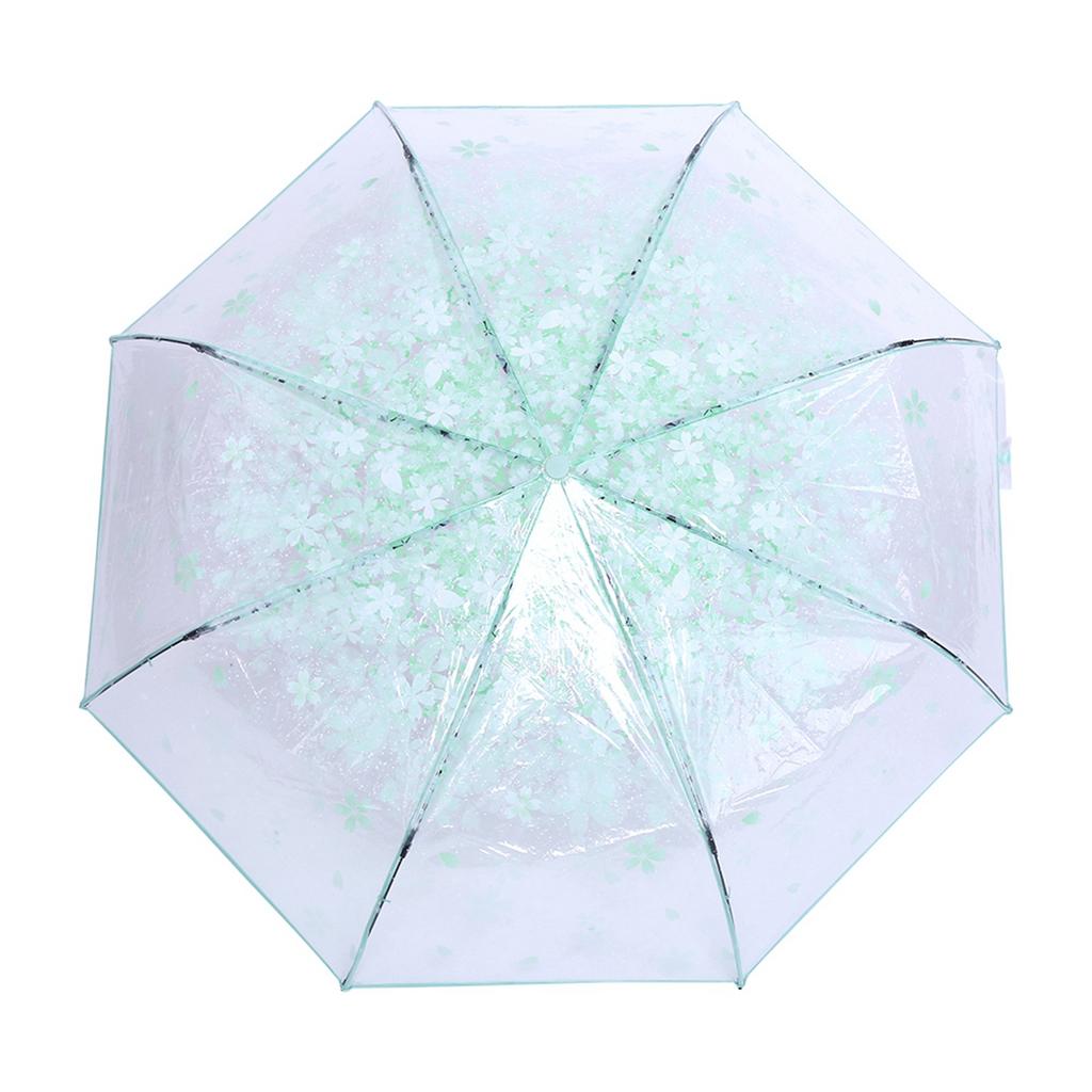 1PC Transparent Folding Umbrella Fashionable Princess Umbrella Cherry Blossom # Light Green