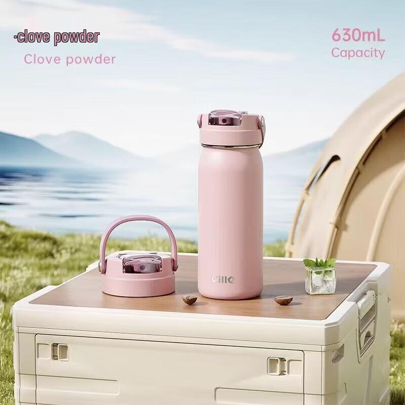 Cille 316 Stainless Steel Insulated Straw Tumbler 630ml