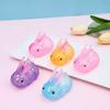 Iridescent Rabbit Squishy Toy 1pc, Novel Squeeze Stress Ball, Hand Sensory Fidget for Easter Halloween Christmas Gift