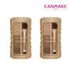 CANMAKE Fit Styler Eyebrow Nose Shading Nose Bridge Palette