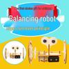 STEM Fun Science Experiment Kit for Kids: DIY Physics & Technology Toys