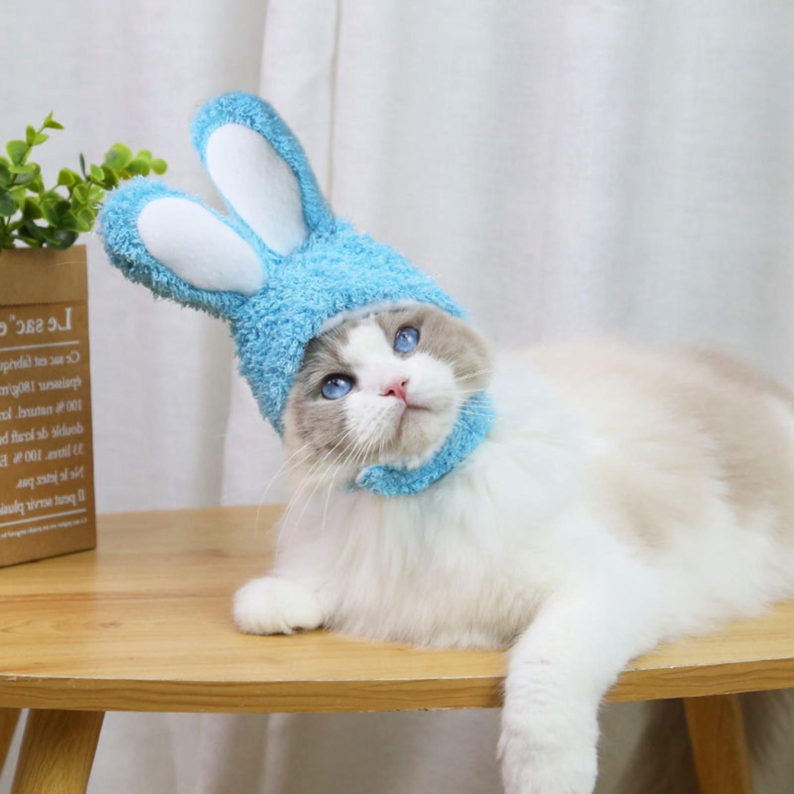 Small Dog Cats With Ears Funny Easter Clothing Pet Accessories One Size